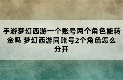 手游梦幻西游一个账号两个角色能转金吗 梦幻西游同账号2个角色怎么分开